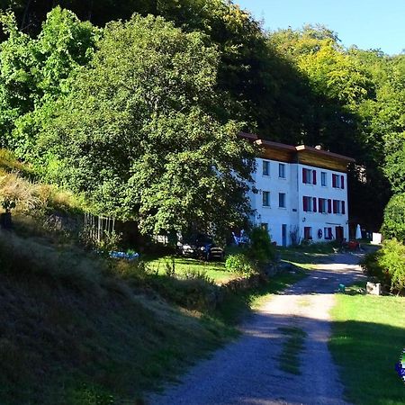Domaine L'Imperatrice Apartment Plombières-les-Bains Екстериор снимка