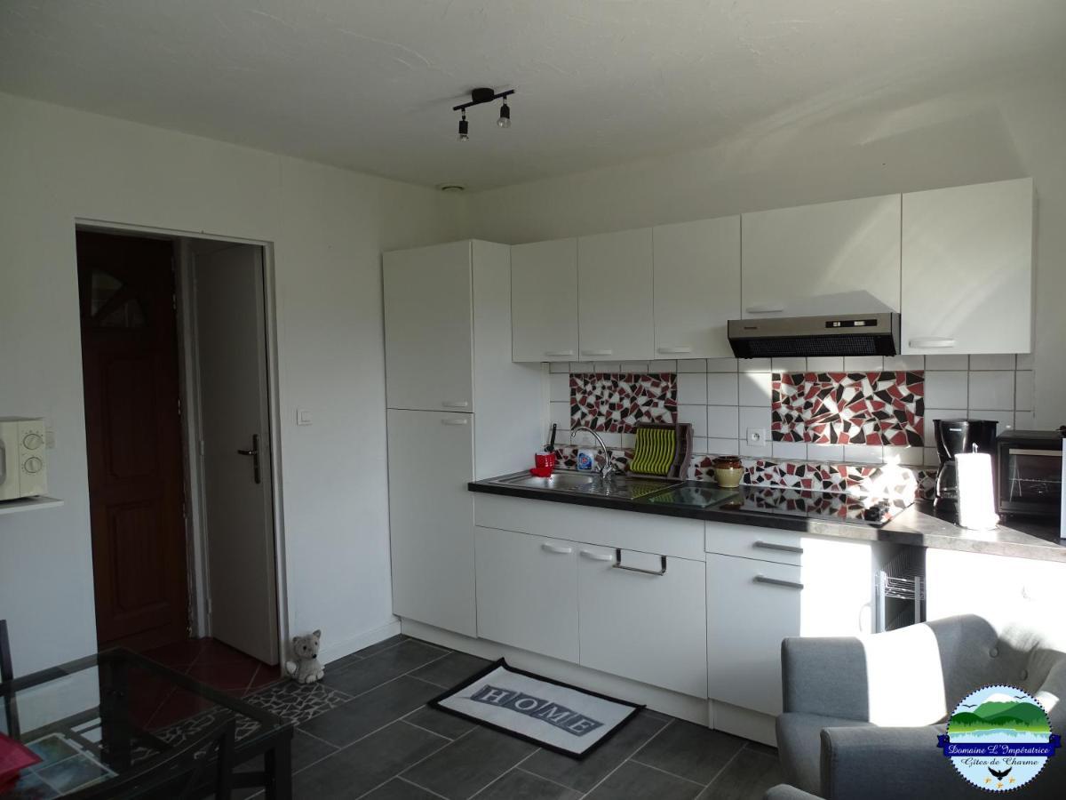 Domaine L'Imperatrice Apartment Plombières-les-Bains Екстериор снимка