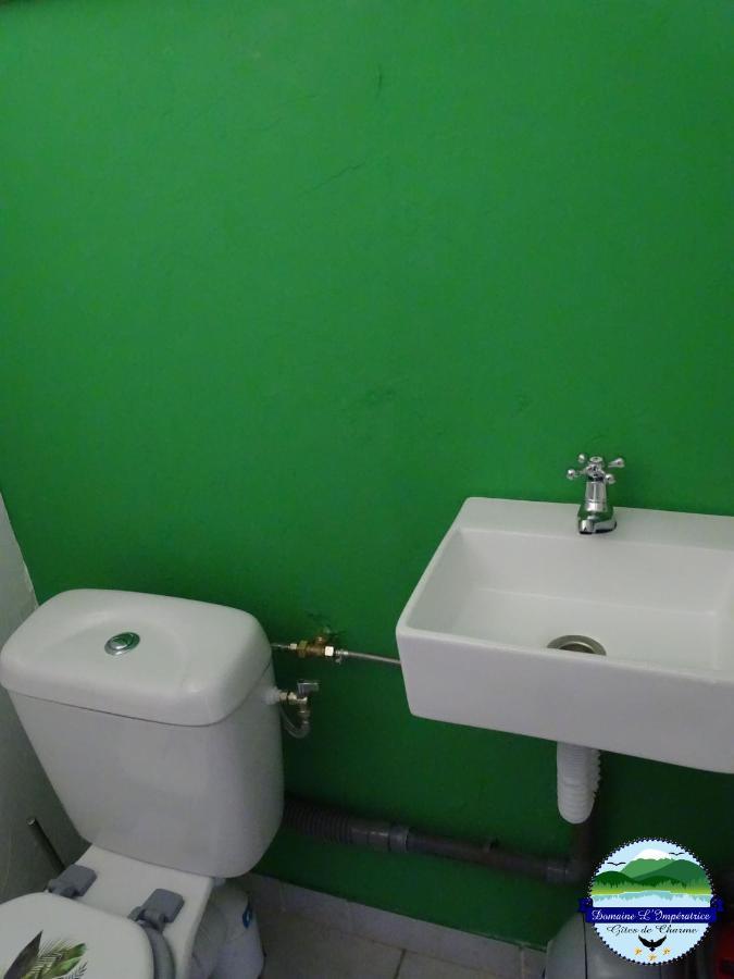 Domaine L'Imperatrice Apartment Plombières-les-Bains Екстериор снимка